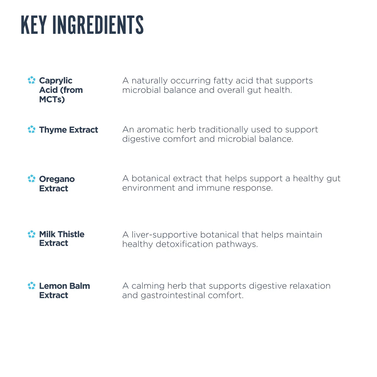 Revive Gut Health